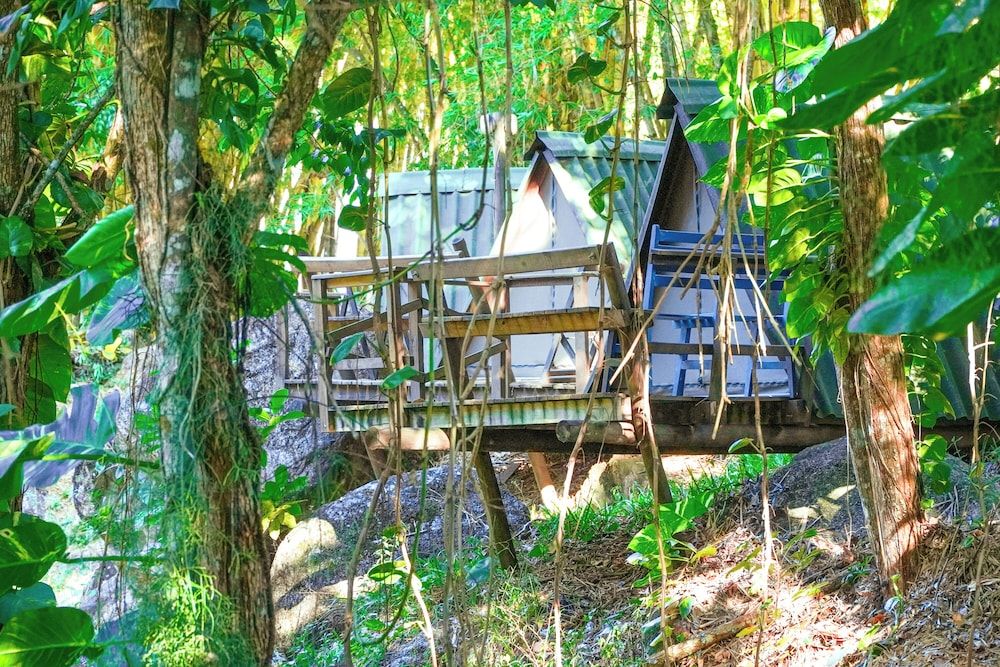 Cabin (Casal)