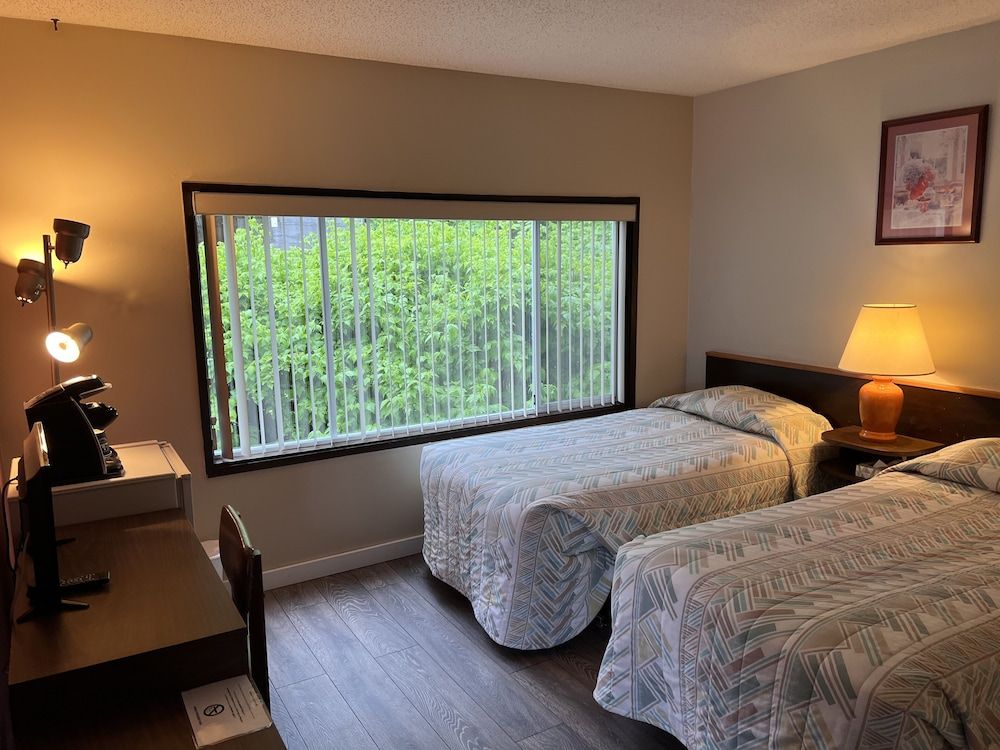 Basic Twin Room