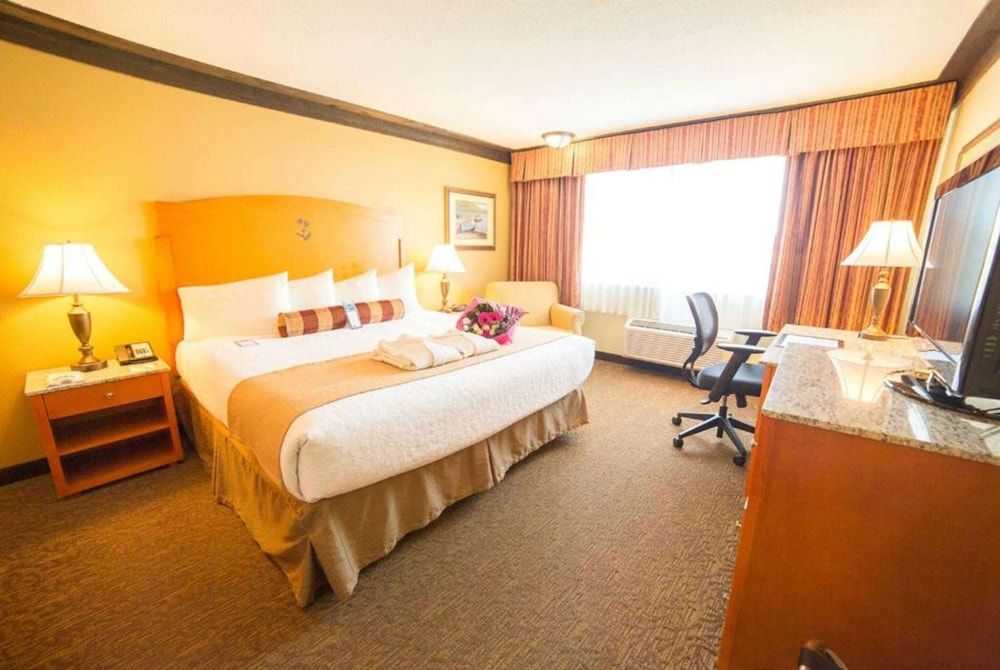 Deluxe Room, 1 King Bed, Non Smoking