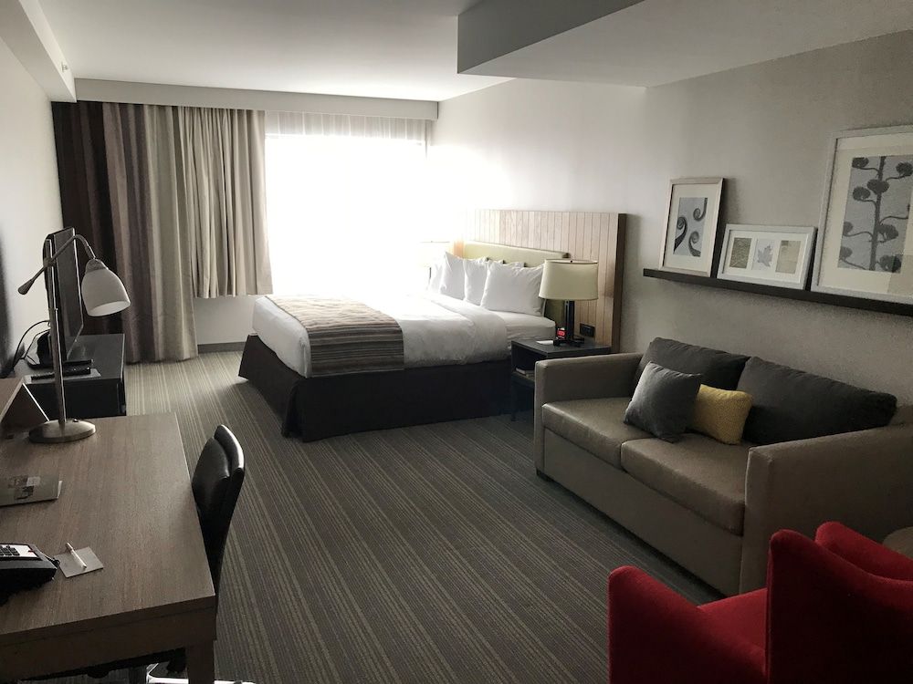 Studio Suite, 1 King Bed with Sofa bed, Non Smoking