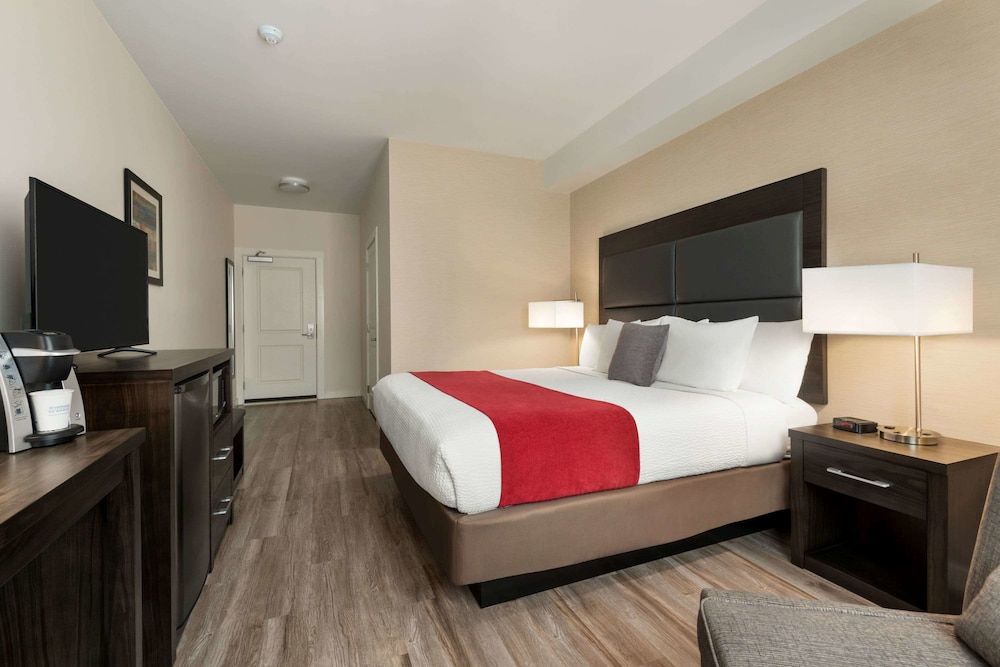 Room, 1 King Bed, Non Smoking