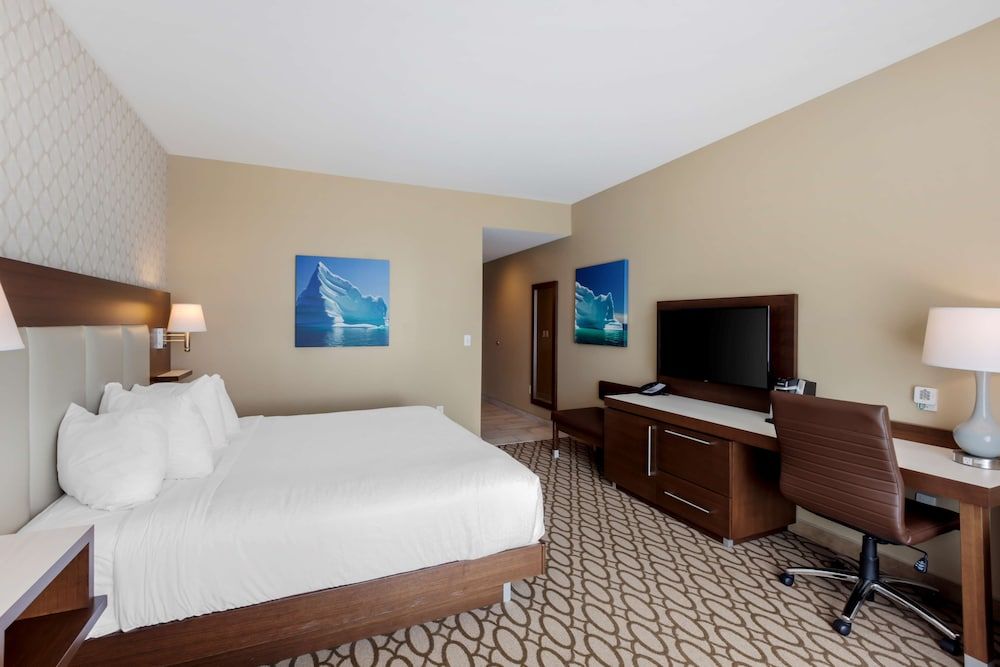 Standard Room, 1 Queen Bed, Accessible, Non Smoking (Refrigerator & Microwave)
