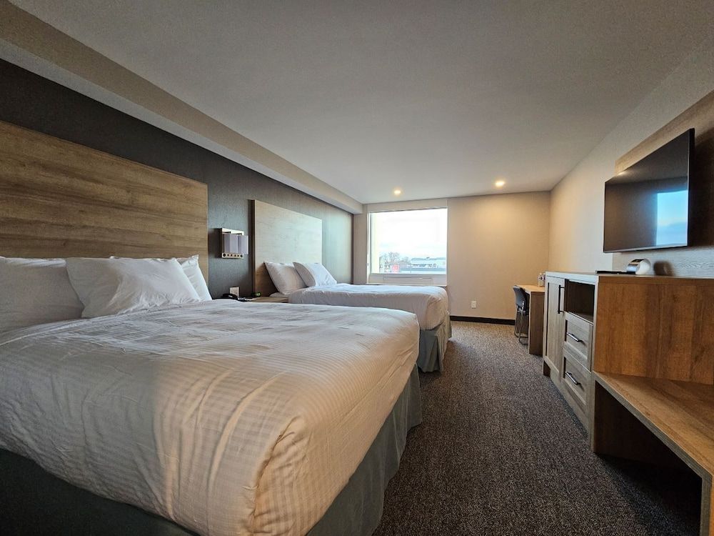 Vittoria Hotel and Suites Cityview Standard Room, 2 Queen beds