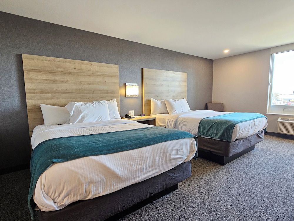 Vittoria Hotel and Suites Cityview Standard Room, 2 Queen beds 3