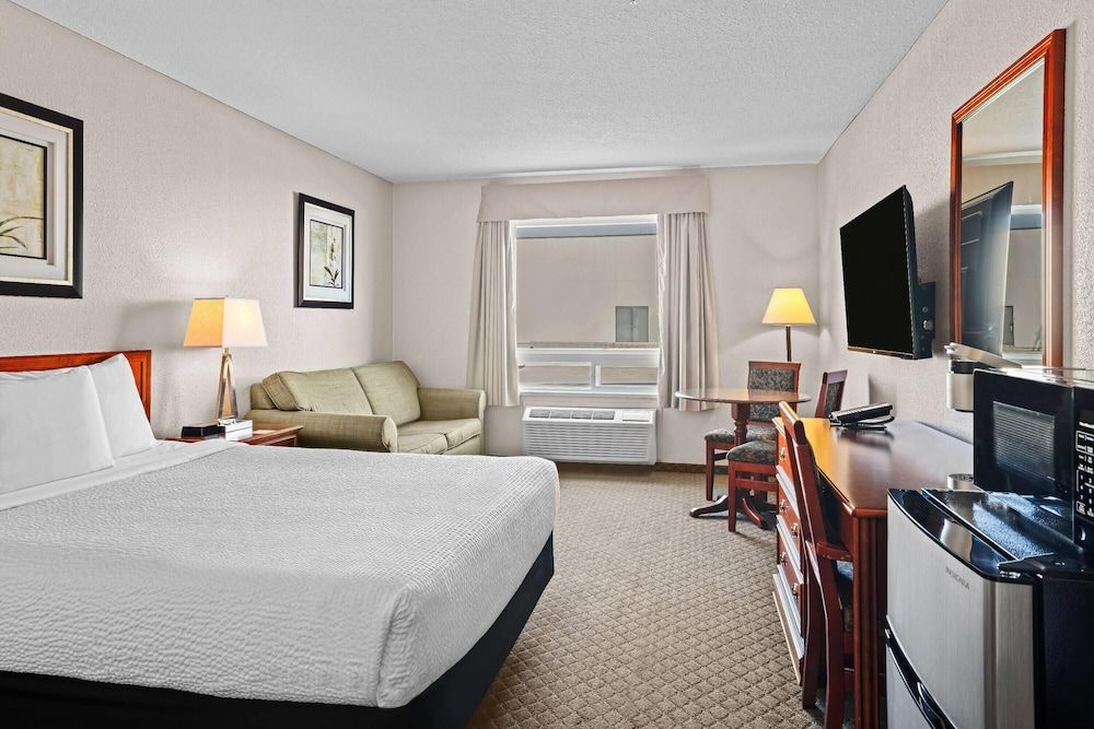 Accessible Room with 1 Queen Bed and Sofa