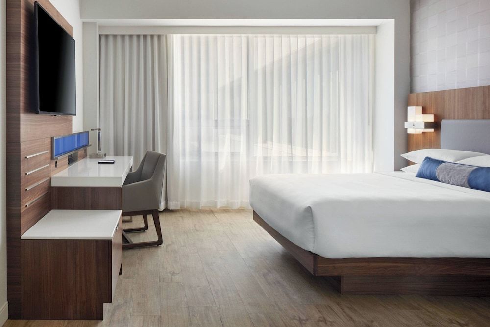 Room, 1 King Bed