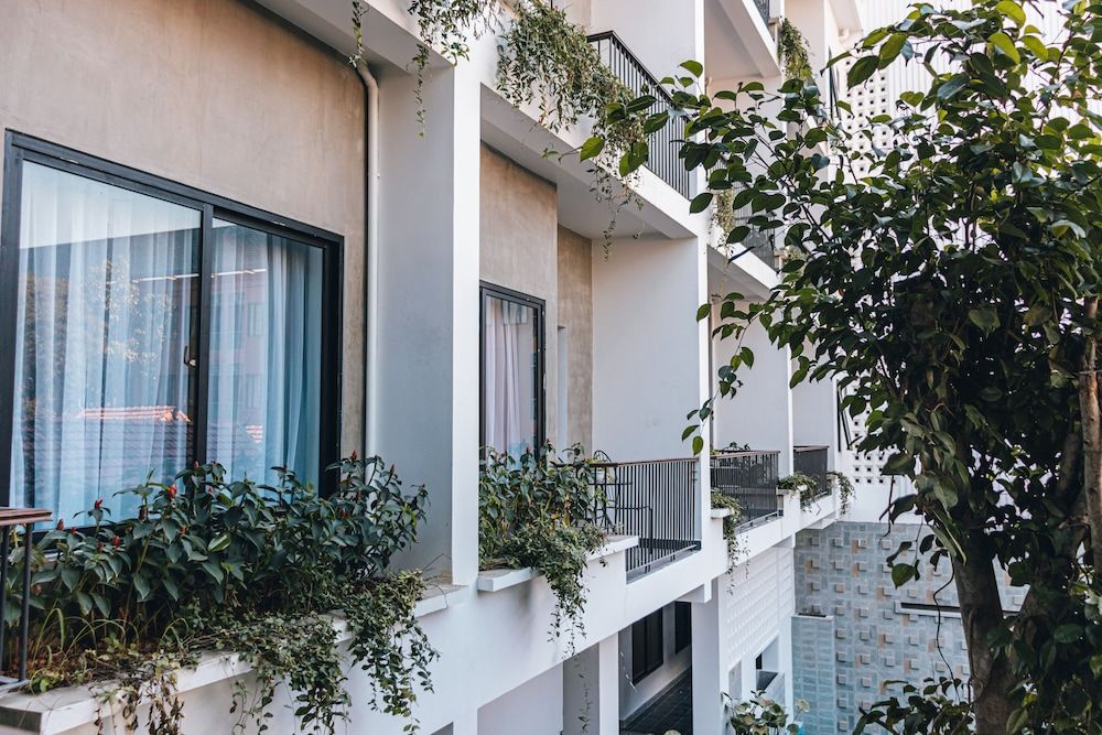 undefined Angkor Aurora 9