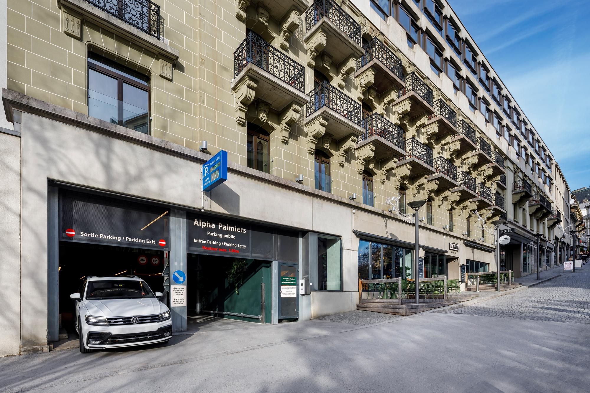 undefined Palmiers by Fassbind 4