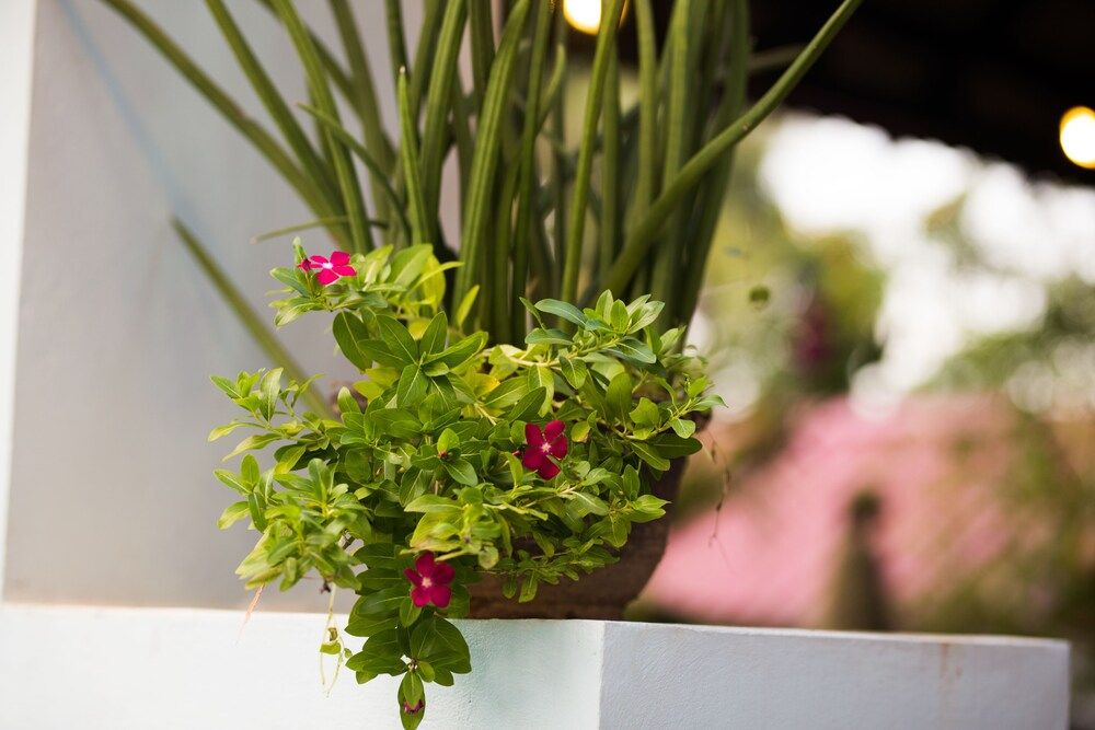 undefined Angkor Ry Boutique 4