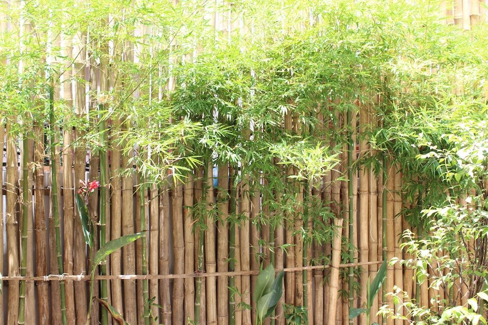 undefined House Boutique Eco Hotel 9