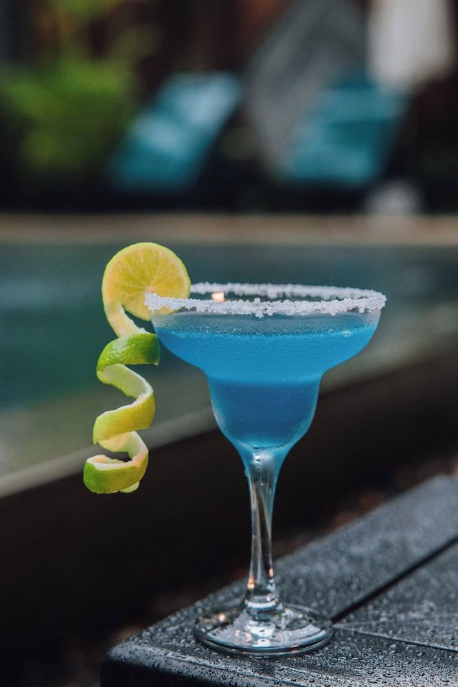 undefined Central Suite Residence 5