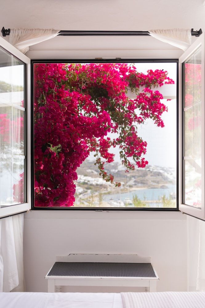 Rhenia Mykonos Delos Room Sea View 5