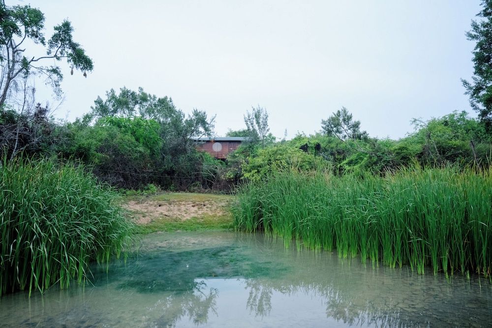 Leopard Nest in Yala Sky Nest 9