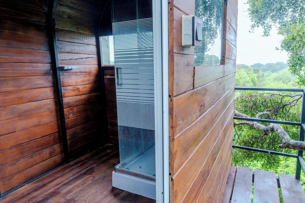 Leopard Nest in Yala Queen Tree Nest 5