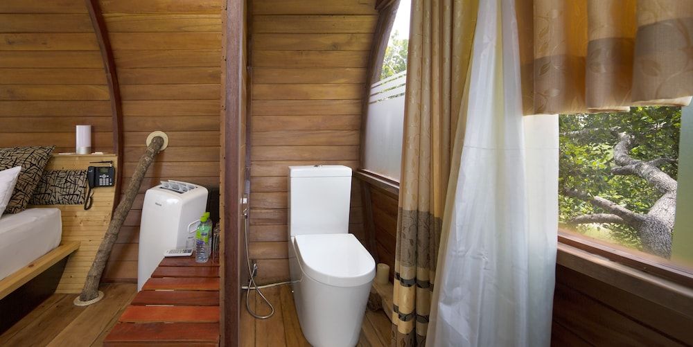 Leopard Nest in Yala Queen Tree Nest 10