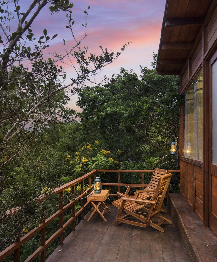 Leopard Nest in Yala Sky Nest 7