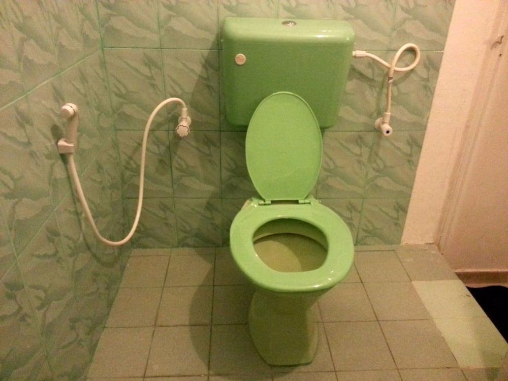 Green Palace Standard Double Room, 1 Bedroom, Accessible, Non Smoking 5