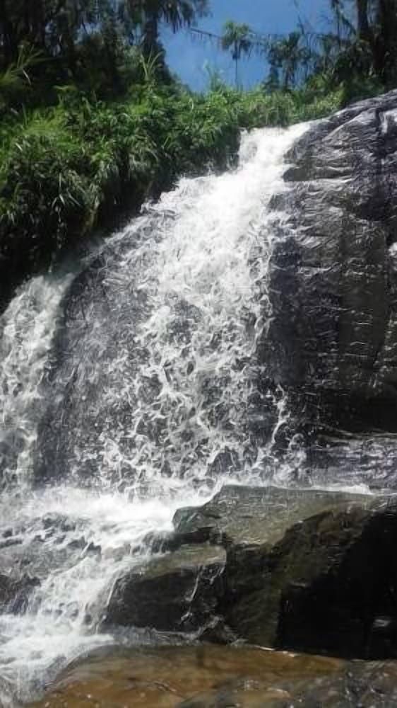 undefined The Lover Stay 3