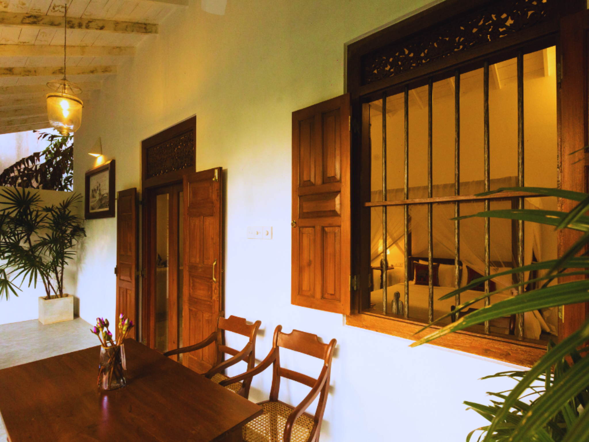 undefined Ceylon Olive 6