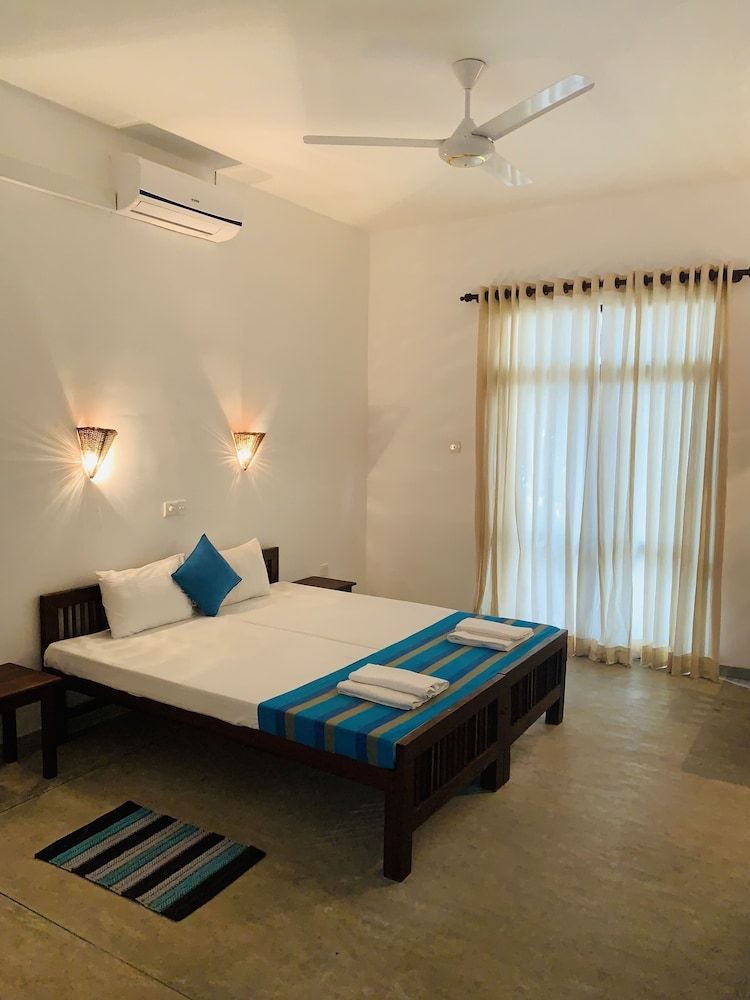 undefined Turtles Rest and Curry Bowl 2