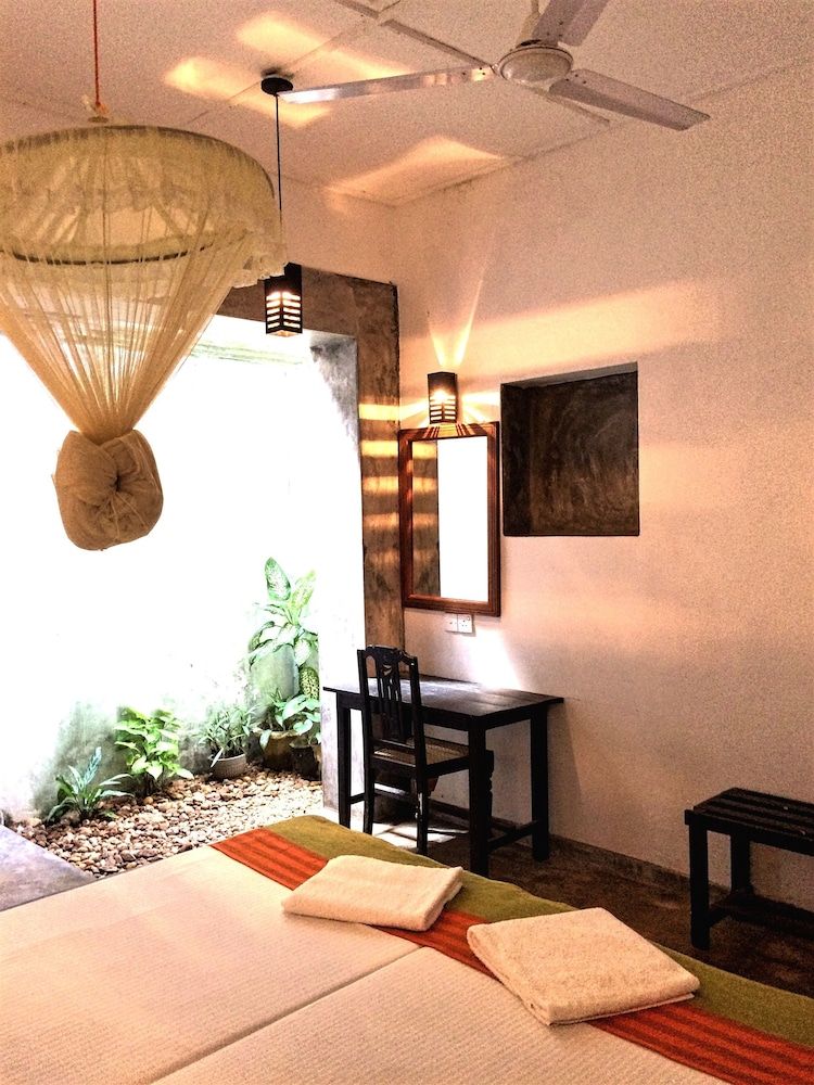 undefined Turtles Rest and Curry Bowl 3