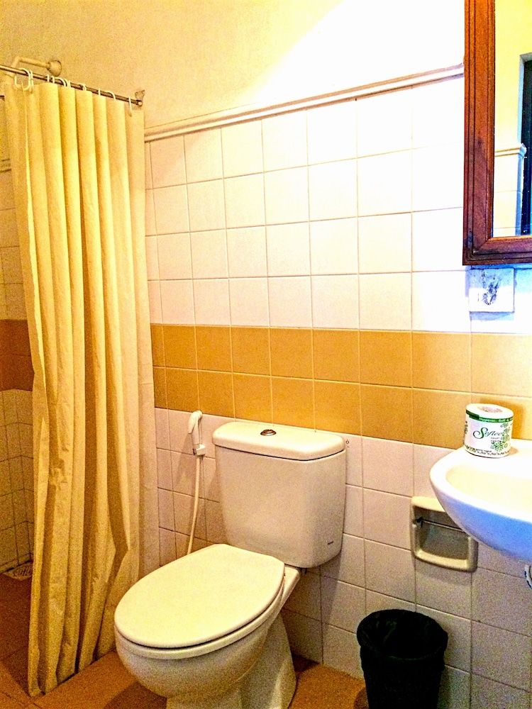 undefined Turtles Rest and Curry Bowl 9