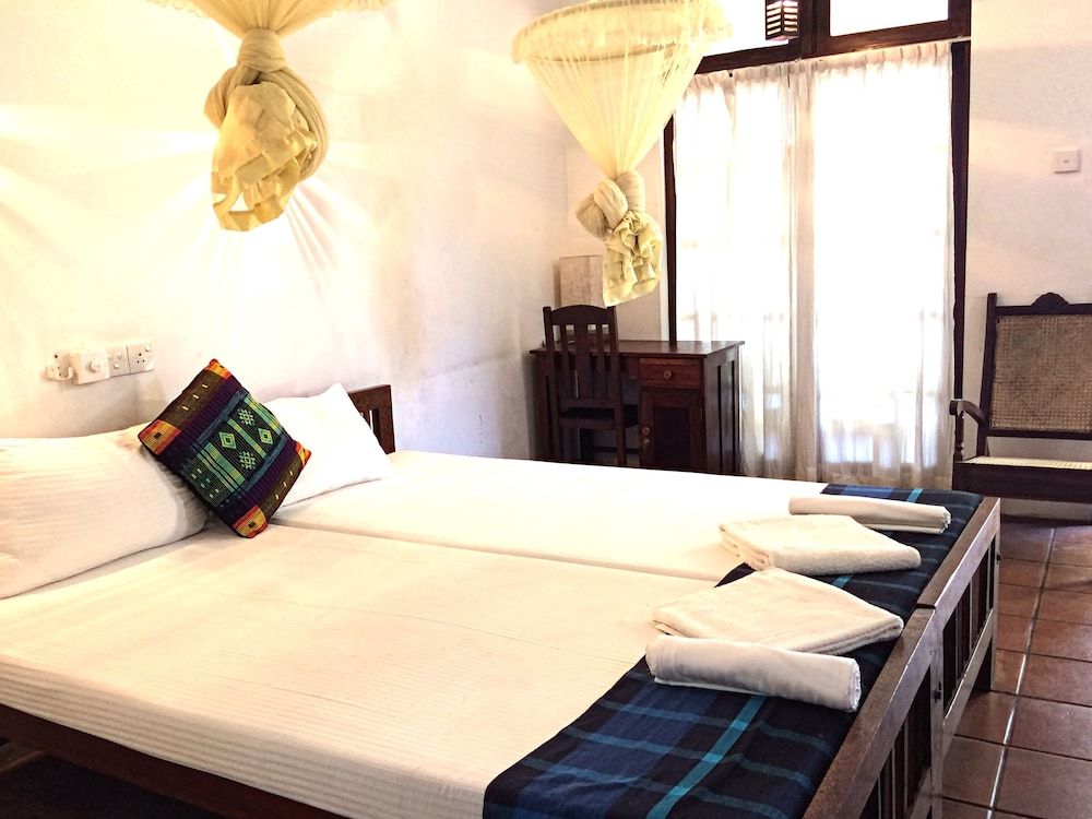 undefined Turtles Rest and Curry Bowl 6