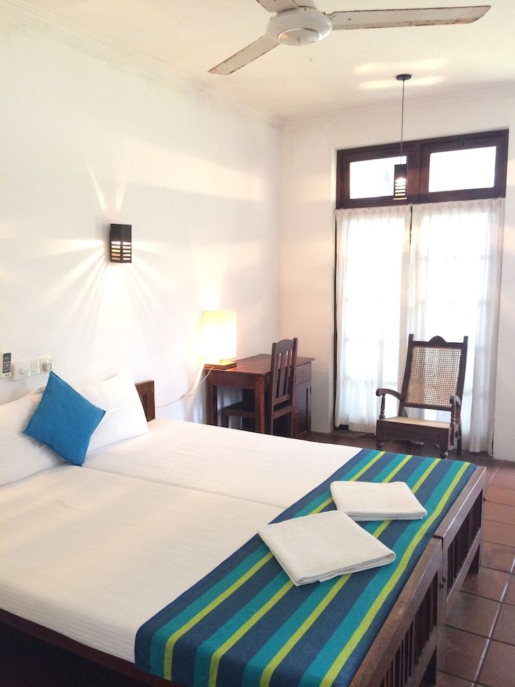 undefined Turtles Rest and Curry Bowl 7