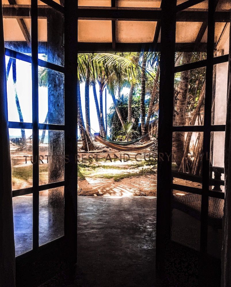 undefined Turtles Rest and Curry Bowl 5