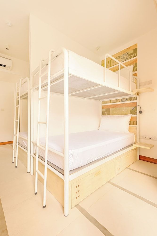 Shared Dormitory, Mixed Dorm