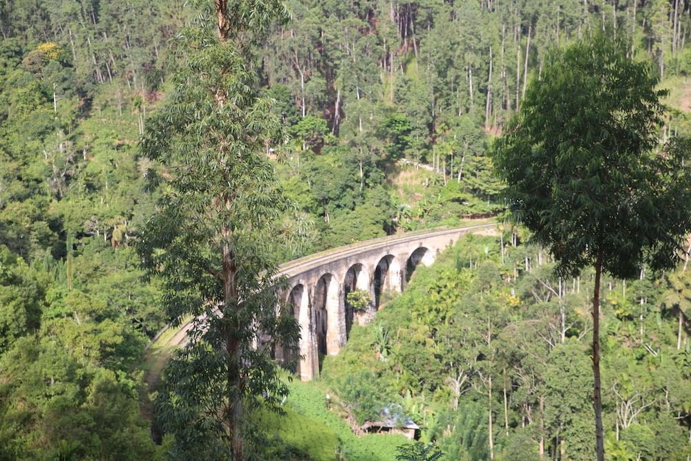 undefined Senevi 9 Arch Homestay 10