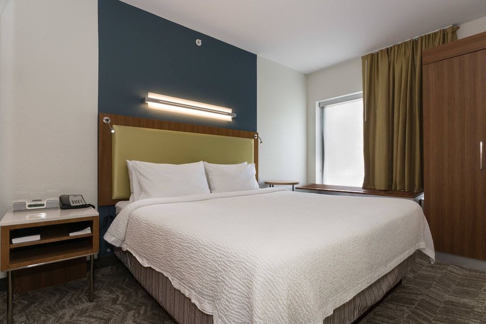 Studio Suite, 1 King Bed with Sofa bed (Mobility/Hearing Accessible, Tub)