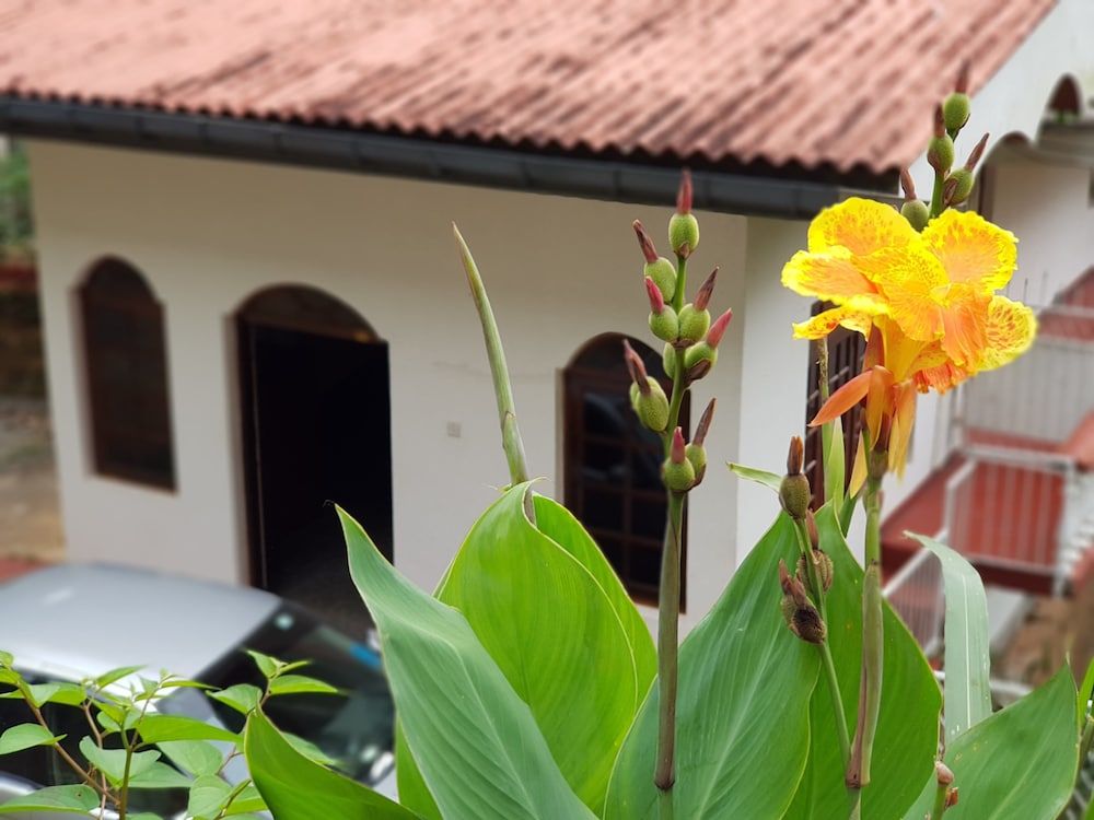 undefined Lodge in 611 3