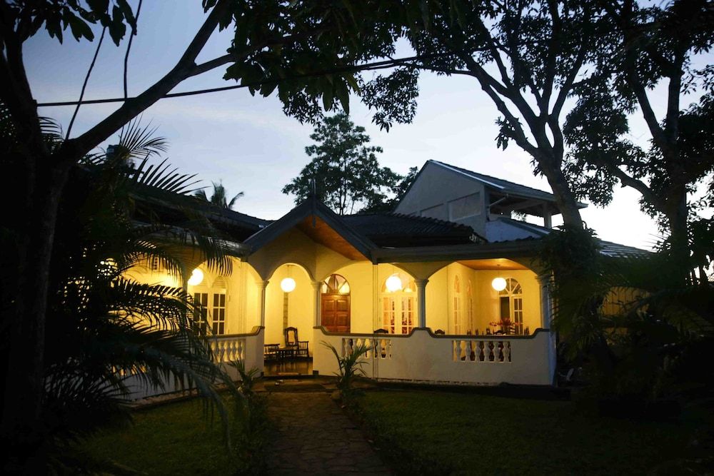 undefined The Mango 6