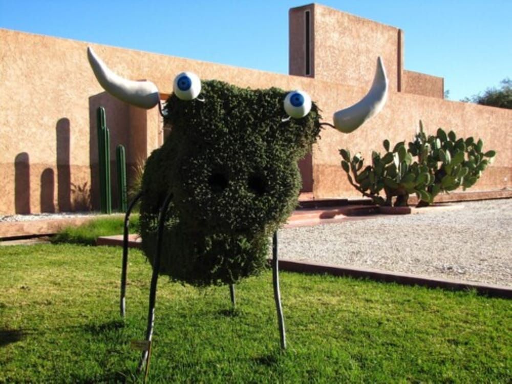 undefined Hôtel Dar Sabra 9