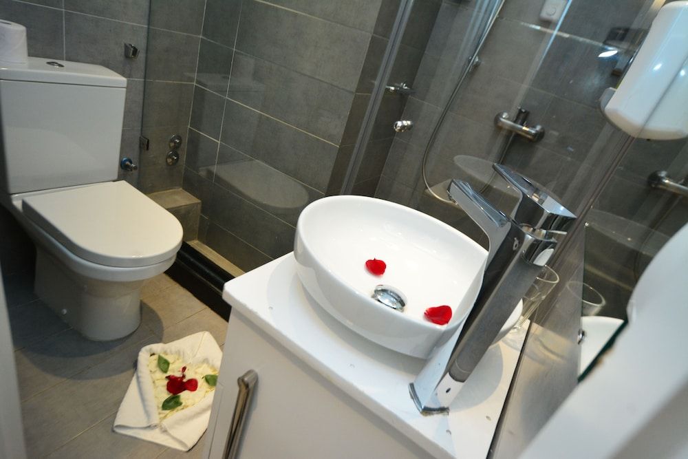 Rent Inn Suites Suite (De Luxe) 9