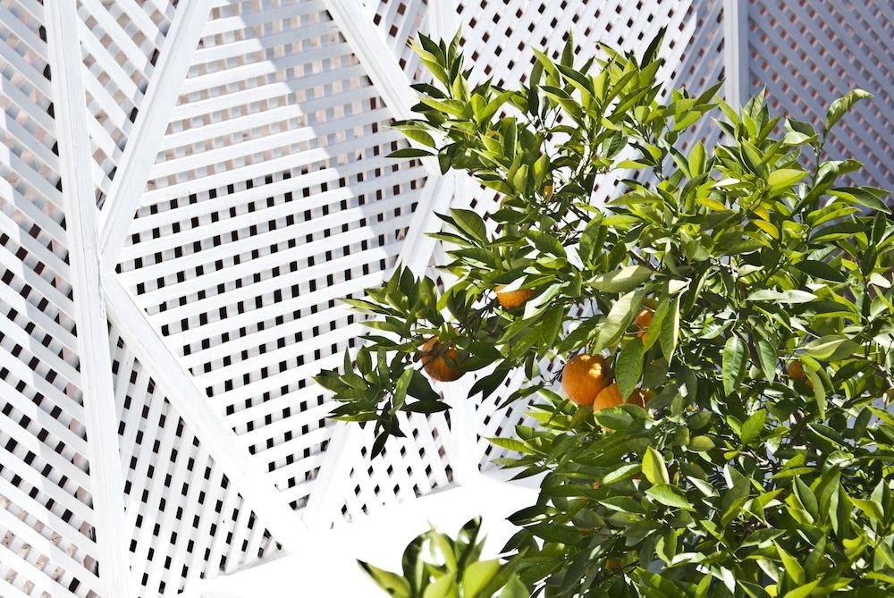 undefined Riad Safa 10