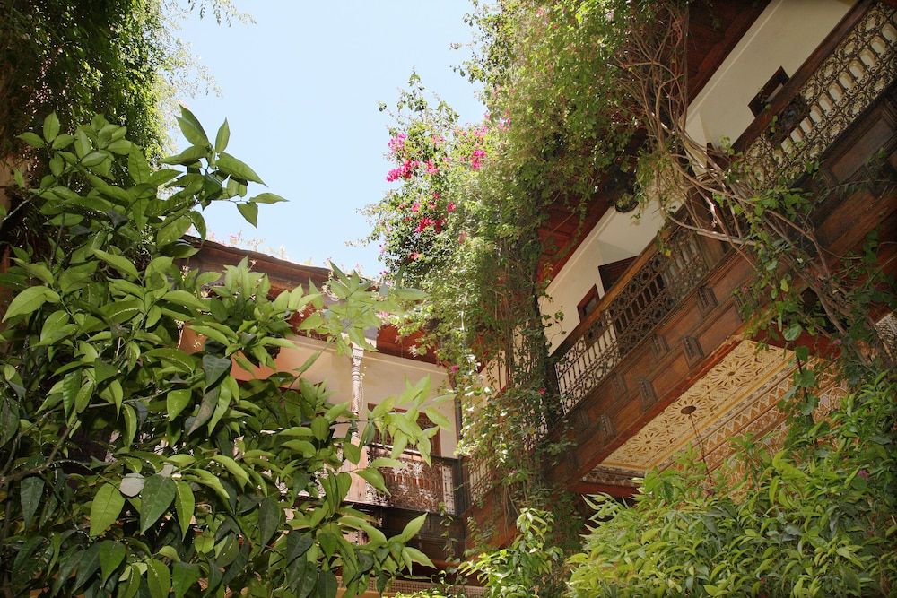 undefined Riad Samsara 5