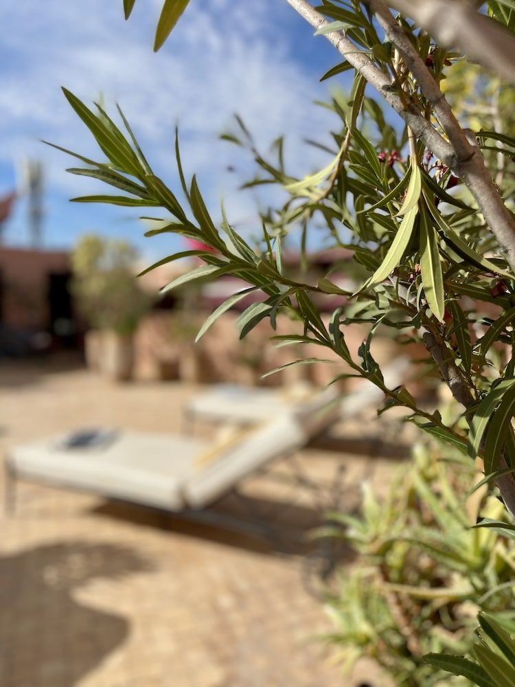 undefined Riad Dar Foundouk & Spa 6