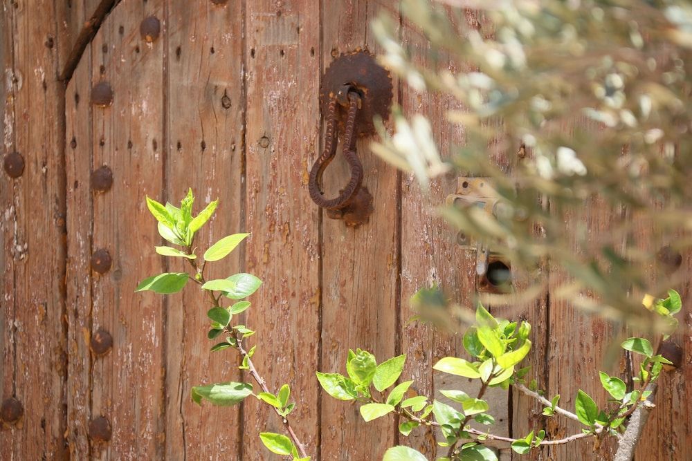 undefined Riad l'Emir 7