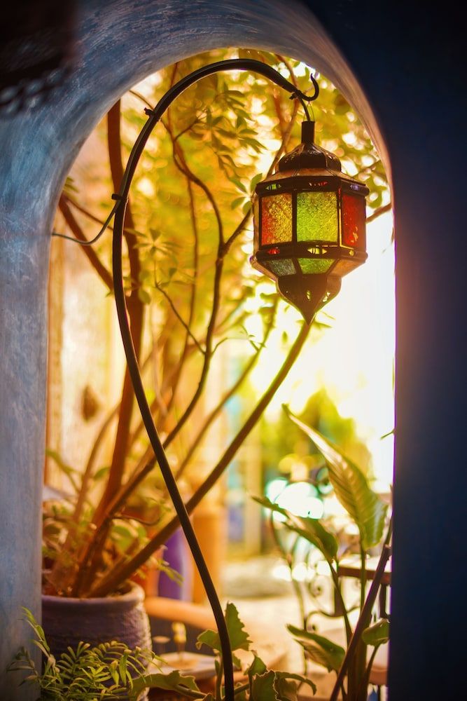 undefined Riad Persephone 2