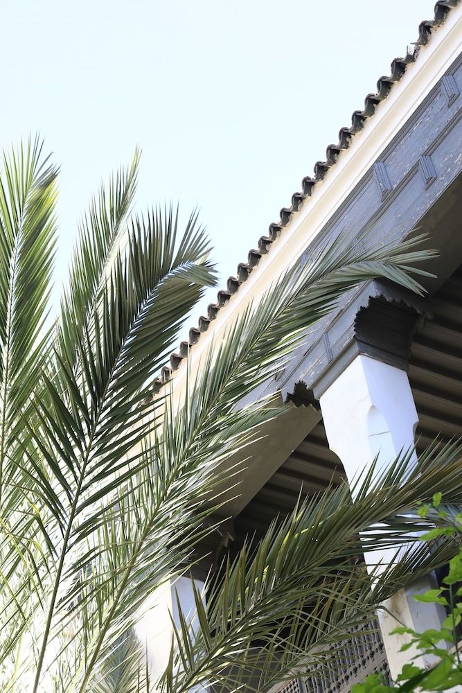 undefined Riad Zaouia 44 8