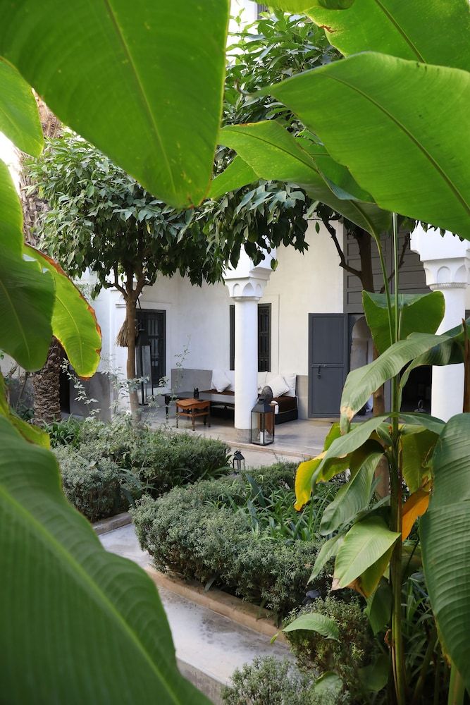 undefined Riad Zaouia 44 7