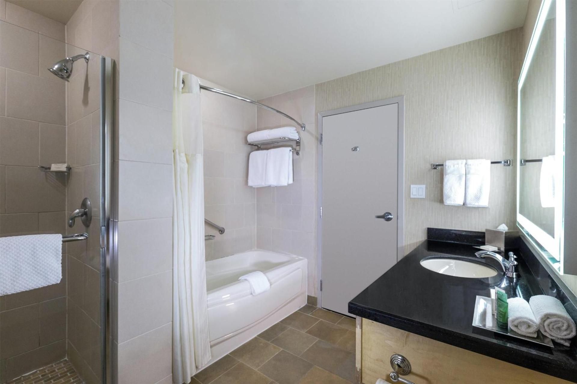 The Glacier 1 Bedroom Suite-1 King Bed