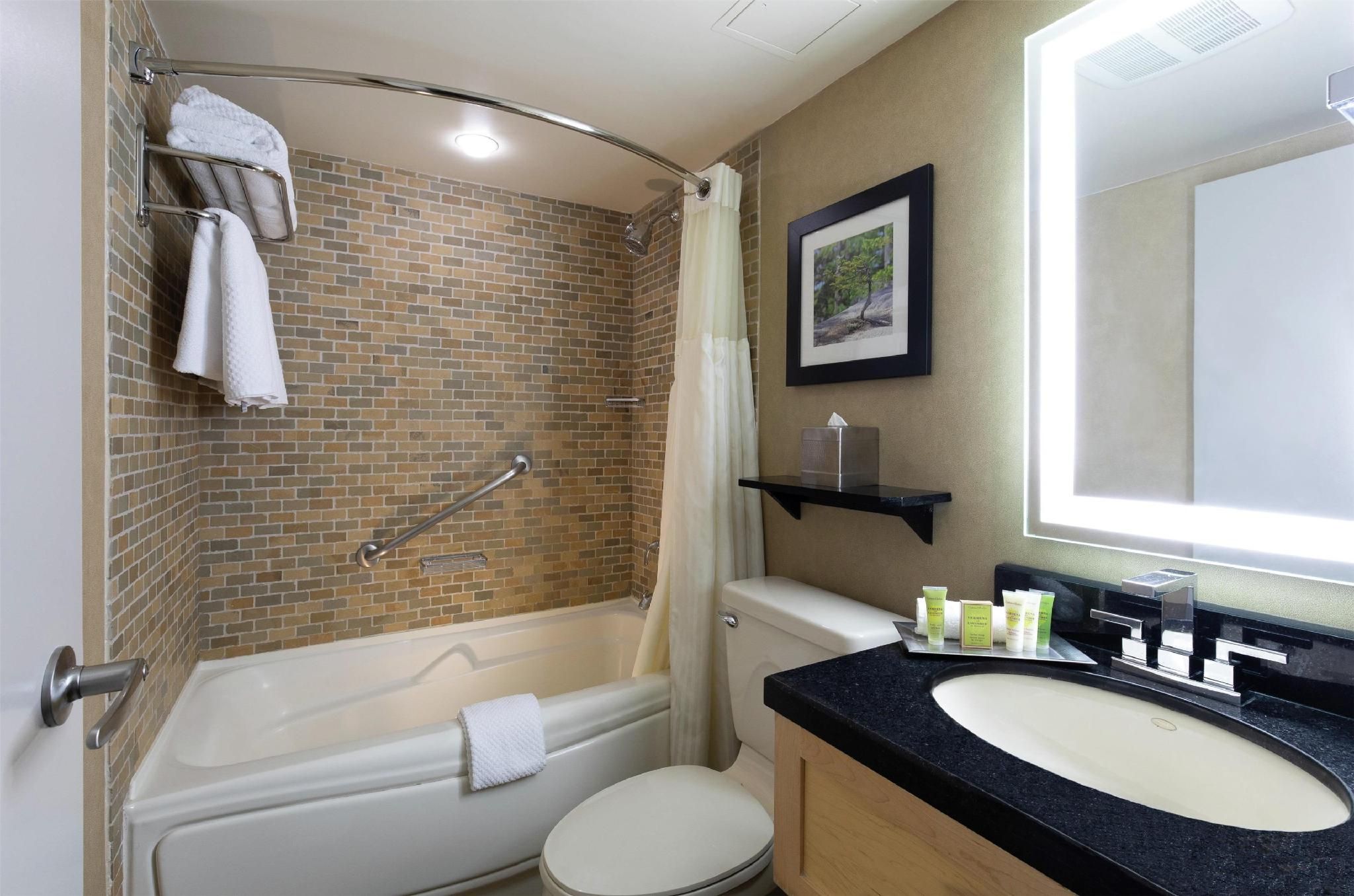 THE HARMONY 1 BEDROOM SUITE-1 KING BED
