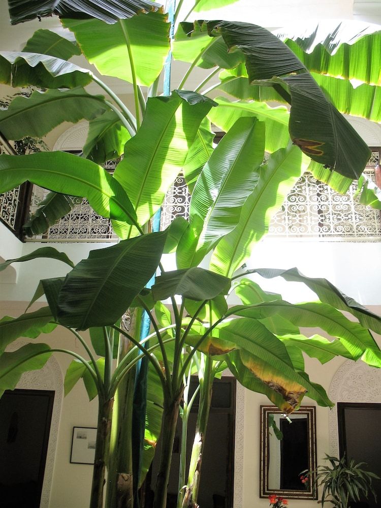 undefined Riad Marhbabikoum 9