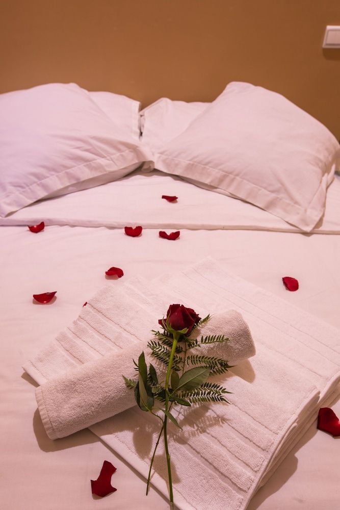 undefined Hotel Toulousain 6