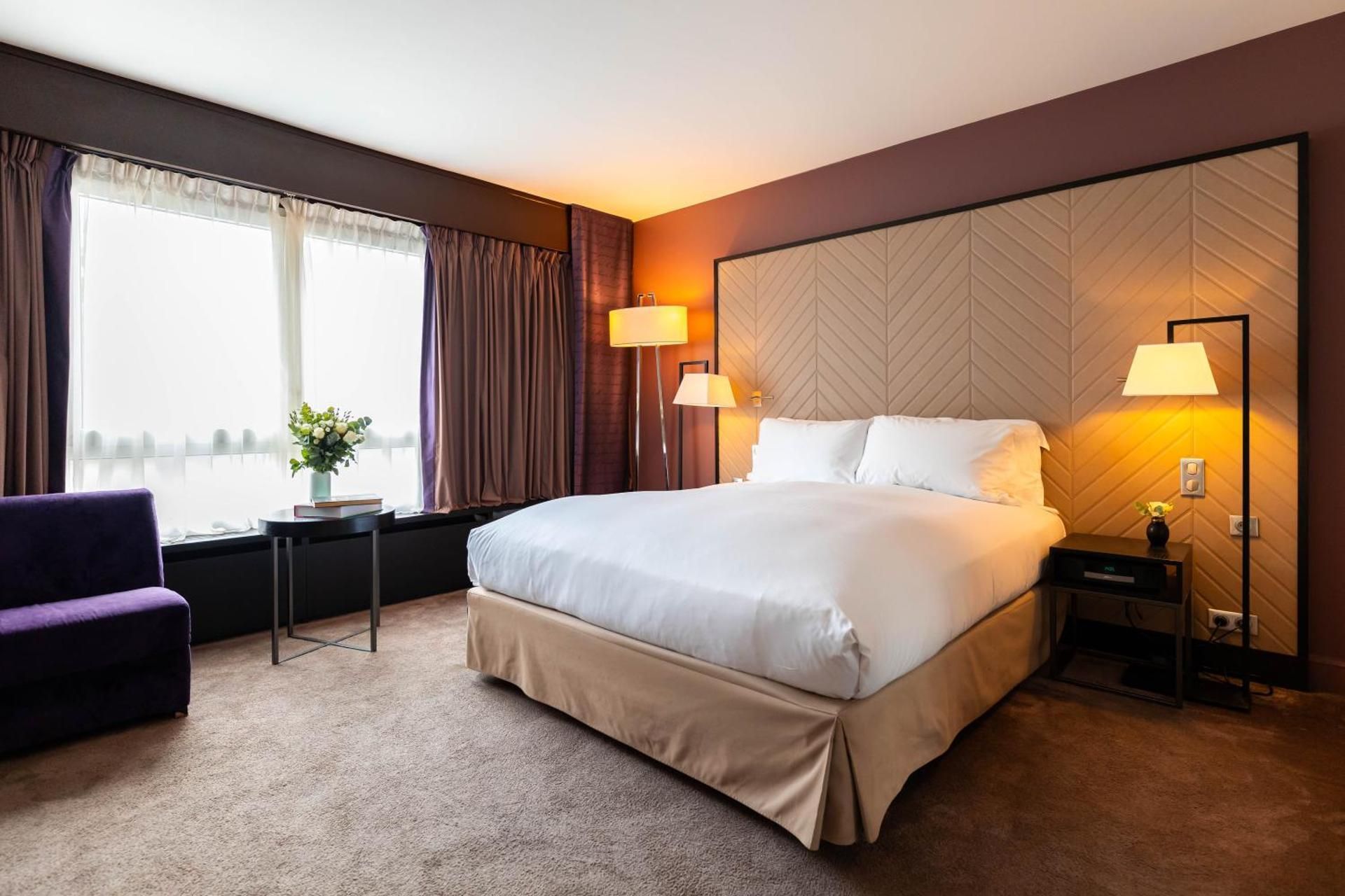 Accessible Luxury Room with One King Bed with View