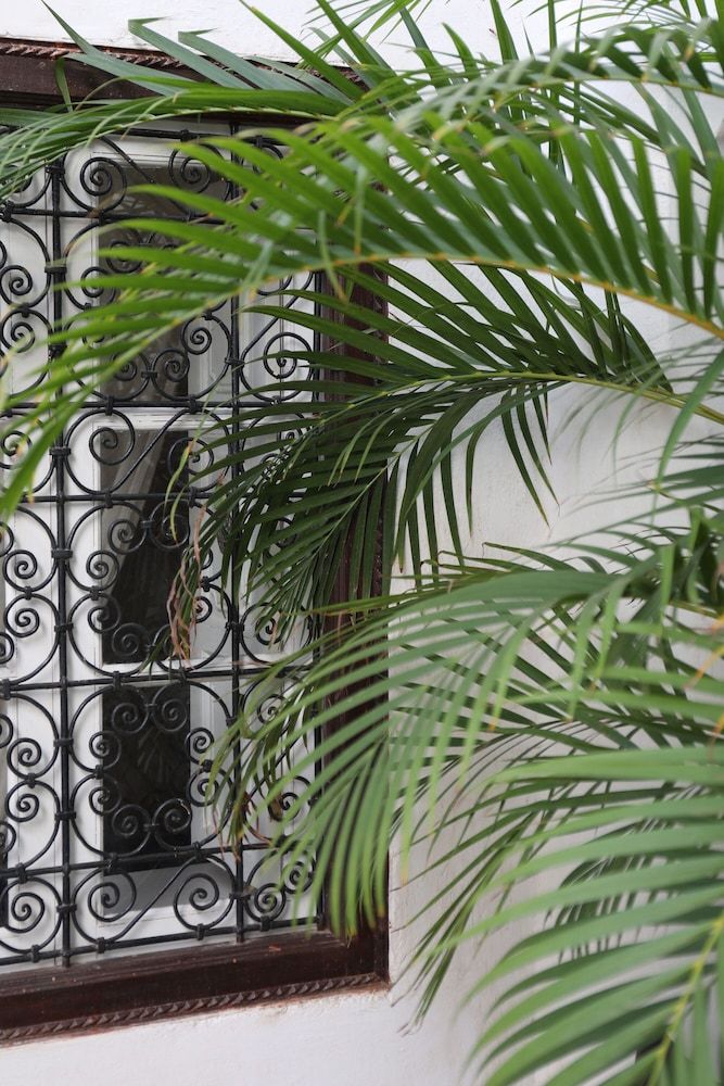 undefined Riad Noor Charana 4