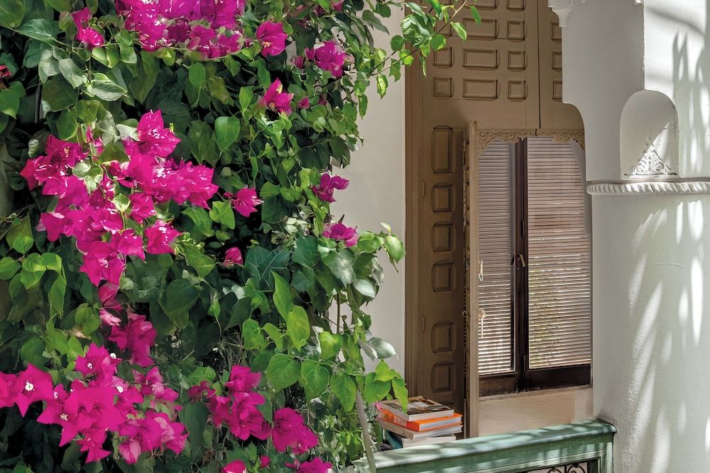 undefined Riad Jaaneman 8